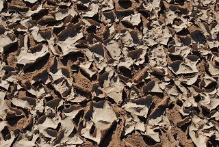 sécheresse manque eau