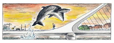 Le baleineau qui a bouché le port de Buenos Aires (1) [Actu]