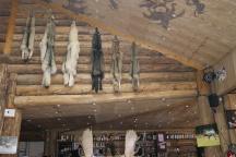 Le restaurant de Rêve de Bisons @desperatecouchpotatoe