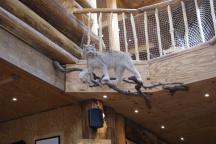 Le restaurant de Rêve de Bisons @desperatecouchpotatoe