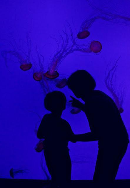 Quoi faire à Toronto (partie 2) Quoi faire à Toronto (partie 2)