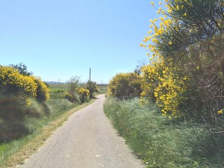 La cheminé d'Aramon #30