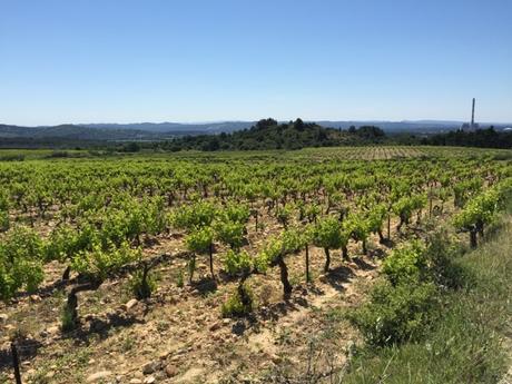 La cheminé d'Aramon #30