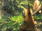 Comme bętes force cachée plantes