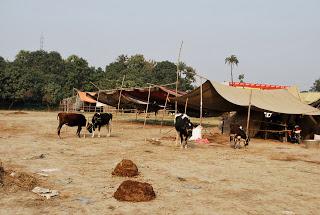 Humanitaire : s'adapter ou renoncer