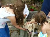 Cohabitation vacances adultes petits