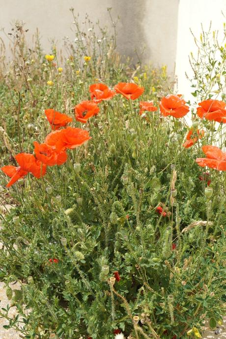 Quelques jours de repos