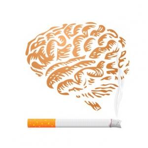 SEVRAGE TABAGIQUE: L'enzyme qui dévore la nicotine avant son arrivée au cerveau – Journal of the American Chemical Society
