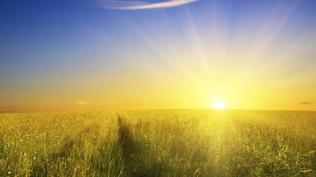 Free Rural Scene Pics - The Rising Sun and the Blue Sky, Wheats Will Soon be Ripe with Them 1920X1080 free wallpaper download