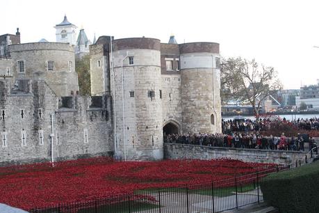 Tour de Londres_coquelicots