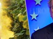 L’UE point d’autoriser glyphosate cancérogène jusqu’en 2025