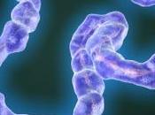 EBOLA: médicament anti-Ebola existait déjà Journal Virology