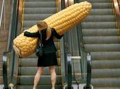 L’Europe autorise France possibilité opposer