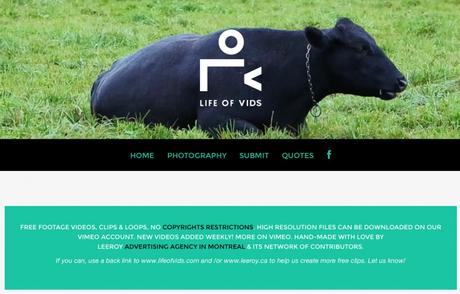 les meilleures sites de vidéos gratuites pour vos créations lifeovids - videos free ressources