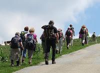 Marcher « nordiquement » dans le Jura
