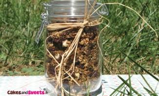 Granola Cranberry Chocolat Noisette