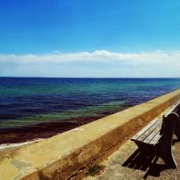 La plage Oak Bluffs Town Inkwell Beach sur l’île de Martha’s Vineyard