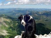 "Une photographie, c'est arrêt cœur d'une fraction seconde"