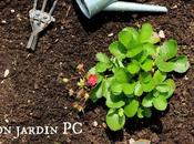 #MonjardinPC été, cultive...