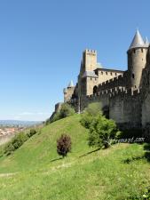 Rond de sorciere 57 17