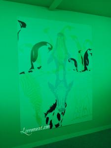 Rond de sorciere 57 04