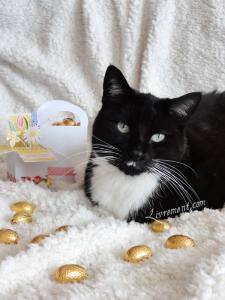 Rond de sorciere 57 15