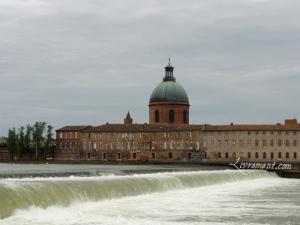 Rond de sorciere 57 21