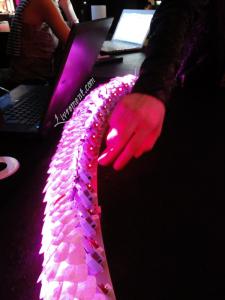 Rond de sorciere 57 06