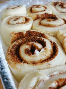 Rond de sorciere 57 23