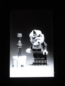 Rond de sorciere 57 07