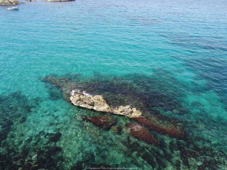 Balade-vallon-des-auffes-marseille-24_gagaone