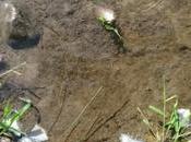 Trouver espace bonheur