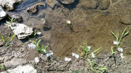 Trouver son espace de bonheur