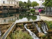 Louise Glacier Isle Sorgue