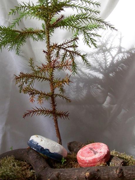 Lot 1 - Lusheuse en devenir