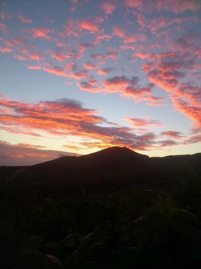 1723717_794930093914614_8966709415585039189_n