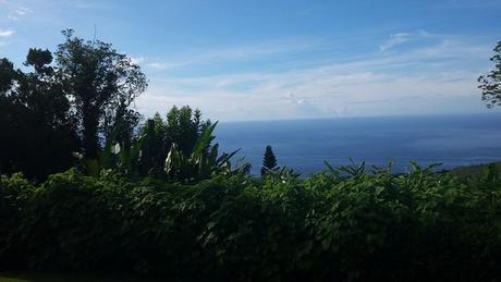 10959332_791424450931845_7281569575173781989_n