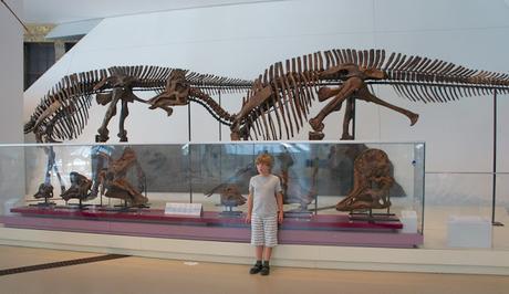 Quoi faire à Toronto (partie 3) Quoi faire à Toronto (partie 3)