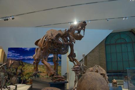 Quoi faire à Toronto (partie 3) Quoi faire à Toronto (partie 3)