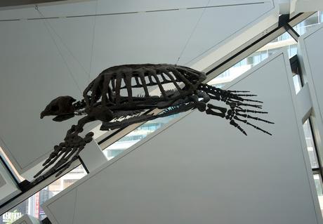 Quoi faire à Toronto (partie 3) Quoi faire à Toronto (partie 3)