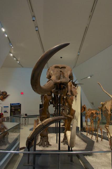 Quoi faire à Toronto (partie 3) Quoi faire à Toronto (partie 3)