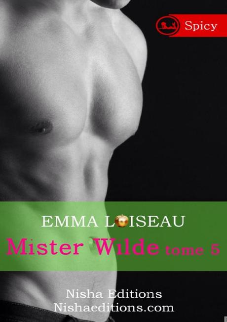 Mais qui est vraiment Mister Wilde ? (Tome 5)