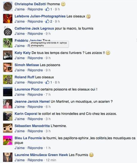 Comment en finir avec les photos floues – Partie 2 2015-08-12_0007-1