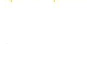 Mira Wladir dérobé]