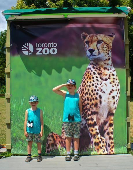 Quoi faire à Toronto (partie 4)
