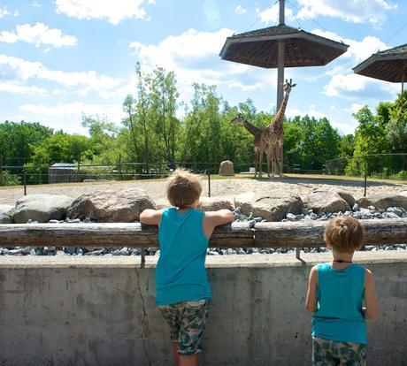 Quoi faire à Toronto (partie 4)