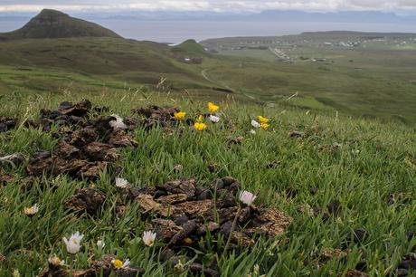 Road trip en Ecosse, étape 4 bis : L'île de Skye (2ème partie)