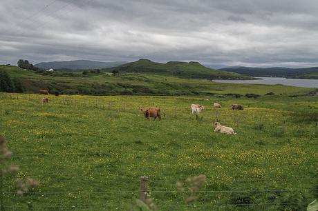 Road trip en Ecosse, étape 4 bis : L'île de Skye (2ème partie)