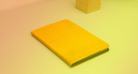 Nodus Case Safran: une touche d’exotisme pour iPad