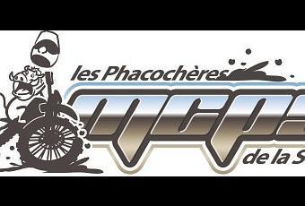 Rando des Phacochères du MCPS à Ydes (15) le 11 octobre 2015